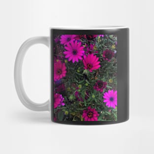 Purple Daisies Mug